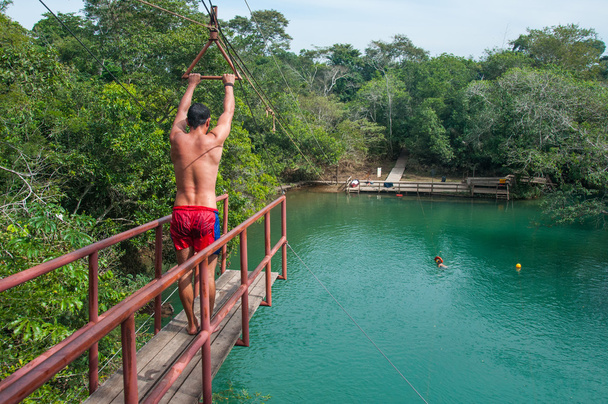 Preparándose para el gran salto, Bonito, Brasil
 - Foto, imagen