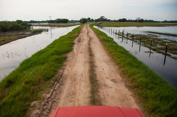 Οδήγηση στους υγρότοπους της Νότιας Pantanal, Βραζιλία - Φωτογραφία, εικόνα