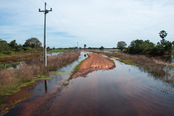 Zalane drogi w Pantanal południowej Brazylii - Zdjęcie, obraz