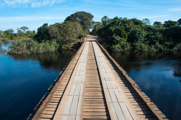 Wooden bridge in the wet lands of Pantanal, Brazil - Photo, Image