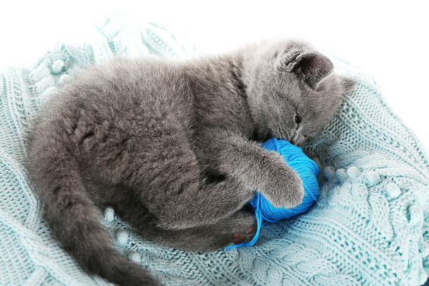 Cute gray kitten with skein of thread on warm plaid, closeup - Foto, immagini