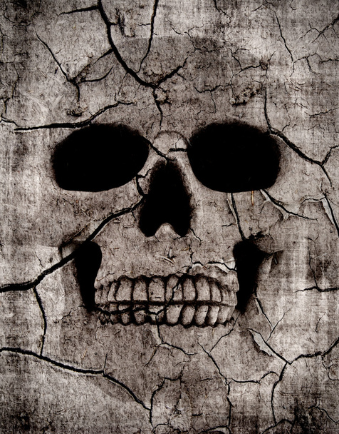 Rotting skull - Foto, afbeelding