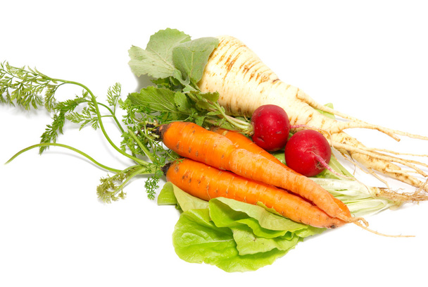 Carrots, radishes and parsnip with green lettuce isolated on wh - Photo, Image