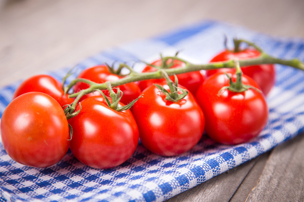 tomatoes - 写真・画像