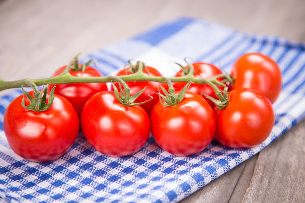tomatoes - Foto, immagini