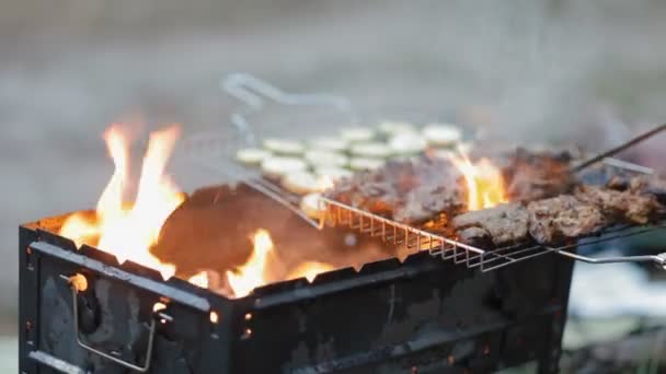 Kerek grill hús fordult - Felvétel, videó