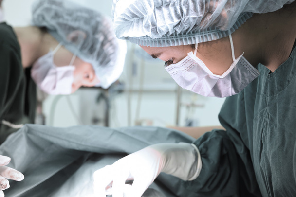 two veterinarian surgeons in operating room - Photo, image
