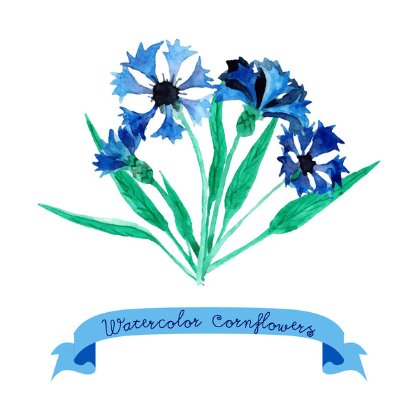 Card with watercolor cornflowers. - Vector, Image