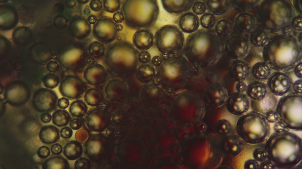 Detergente bajo microscopio
 - Metraje, vídeo