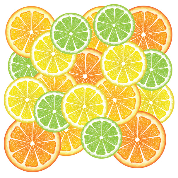 さまざまな柑橘類のスライス - ベクター画像