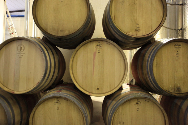 Barricas de vino
 - Foto, imagen