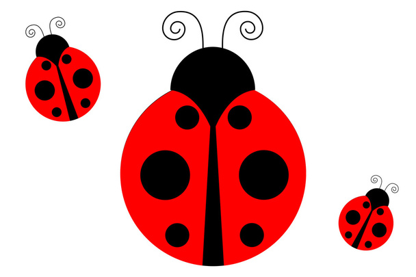 Ladybug - Vector, Imagen
