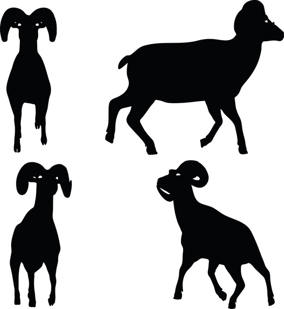 grote hoorn schapen silhouet in wandelen pose - Vector, afbeelding