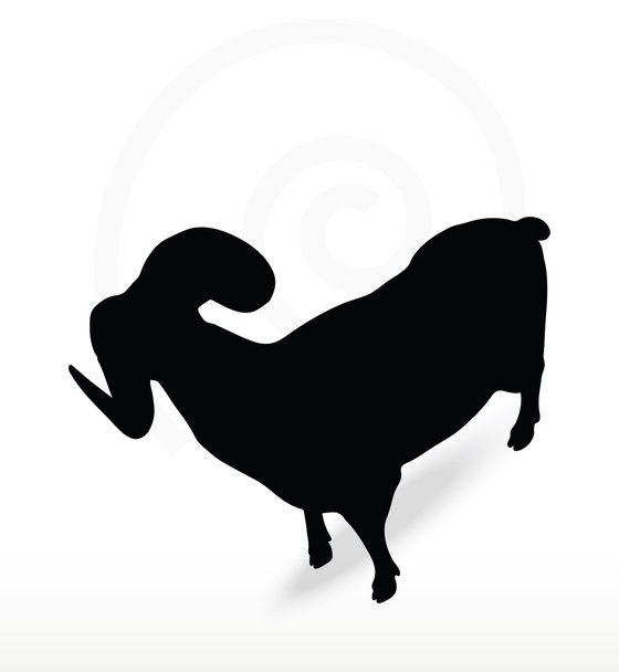 big horn sheep  silhouette in twist head  pose - Vector, Image