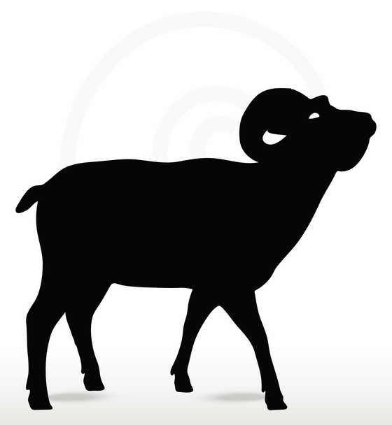 grote hoorn schapen silhouet in gezicht opwaartse pose  - Vector, afbeelding