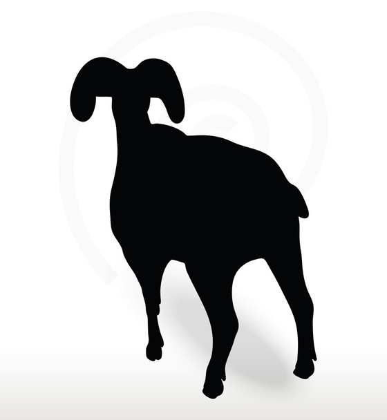 Силуэт большой рог овец в лицо вверх позе
  - Вектор,изображение