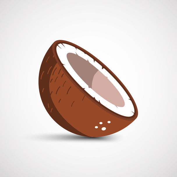 Векторная половина кокосового крупного плана на белом фоне
 - Вектор,изображение