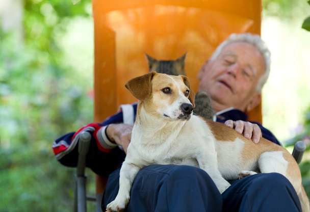 Senior man with dog and cat - Foto, afbeelding