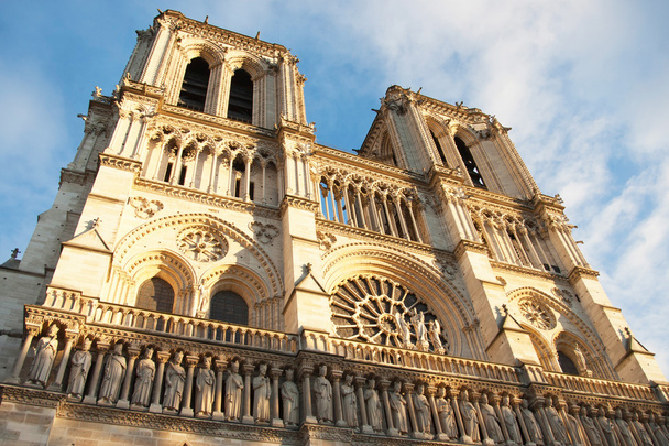 Вид на собор Парижской Богоматери снизу
 - Фото, изображение