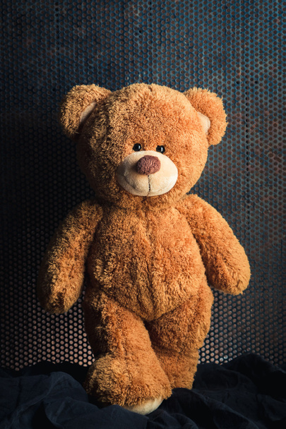 teddy bears - Foto, Bild