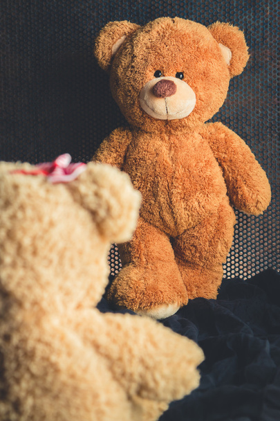teddy bears - Фото, изображение