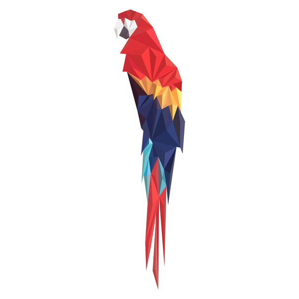 Vector illustration of parrot on white background - Vettoriali, immagini