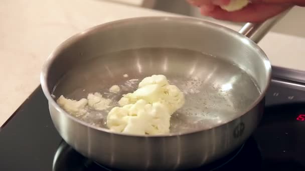 Chef hierve coliflor picada en maceta de metal
 - Metraje, vídeo