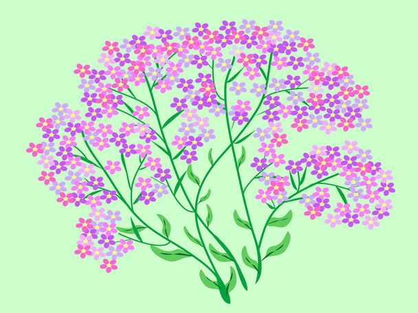 Pink wildflowers flowers bouquet - Vettoriali, immagini