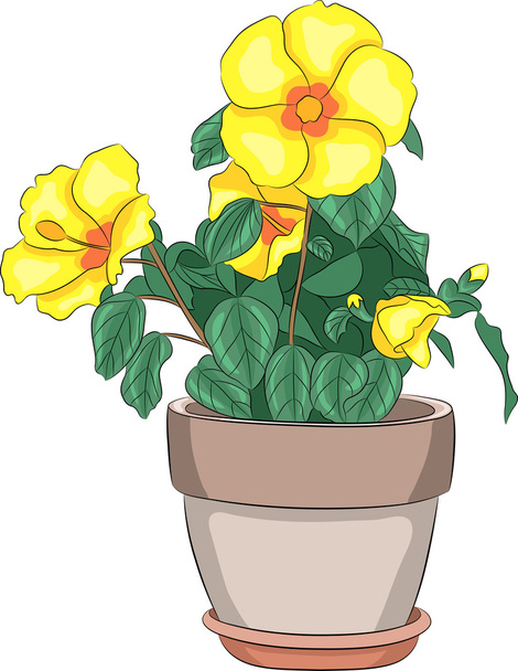 Natural flowers in a pot. - Vector, Image