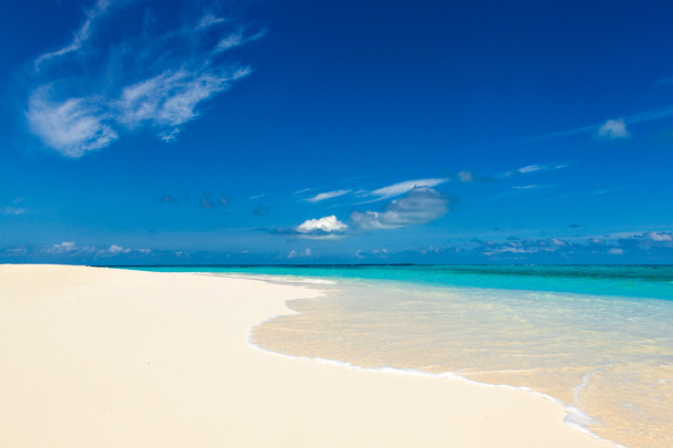 paradise wild beach on the Caribbean - 写真・画像
