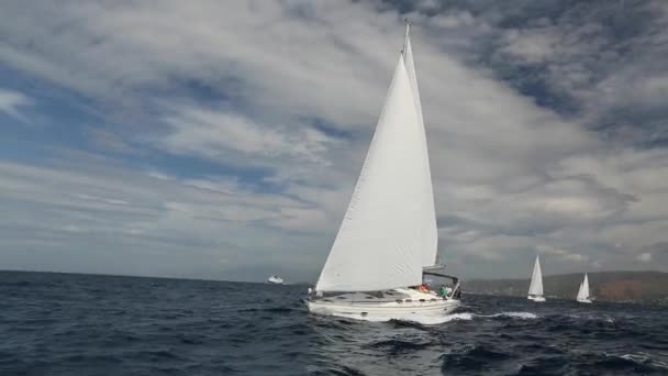 Żeglarstwo wyścigu jacht - Materiał filmowy, wideo