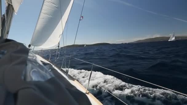 Dalgalar arasında rüzgarda yelken - Video, Çekim