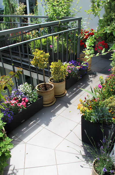 Красива сучасна тераса з сумішшю літніх квітів
 - Фото, зображення