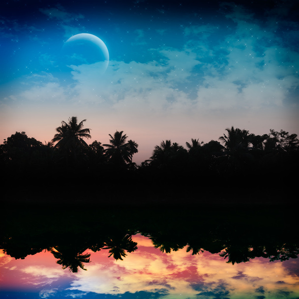 Noche tropical mágica
 - Foto, imagen