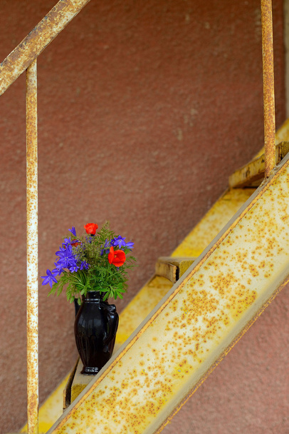 Bloemen op de ladder - Foto, afbeelding