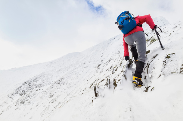 サドルバック山の頂上に登山ルートのハイカー - 写真・画像