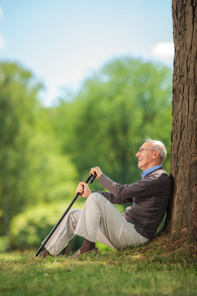 Senior gentleman sitting in park by a tree  - Fotografie, Obrázek
