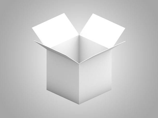 Beyaz arkaplanda izole edilmiş bir kutuyu aç - Fotoğraf, Görsel