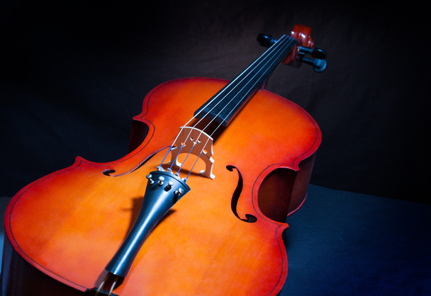 Cello in full length and vertical position - Φωτογραφία, εικόνα