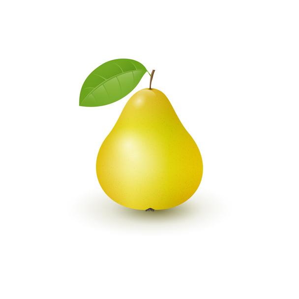 Keltainen päärynä
  - Vektori, kuva