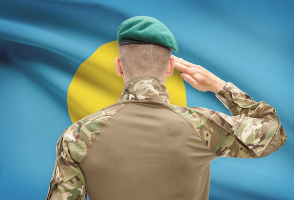 Fuerzas militares con la bandera en la serie conceptual de fondo - Palau - Foto, imagen
