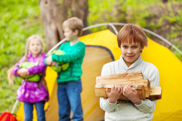 Boy holds wood for camping bonfire - Zdjęcie, obraz