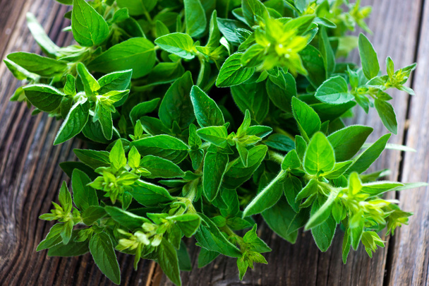 Bunch of fresh, green mint - Foto, Bild