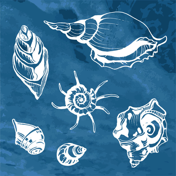 Sea shells decorative icons - Διάνυσμα, εικόνα