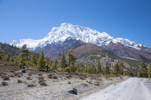 Montañas del Himalaya
 - Foto, Imagen