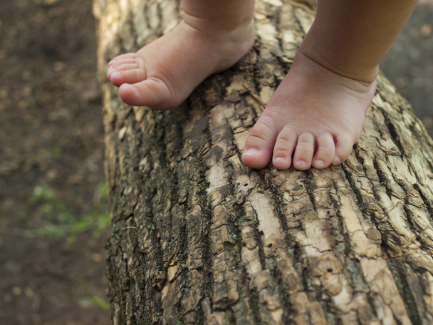 Baby nohy stojí na větev stromu. - Fotografie, Obrázek