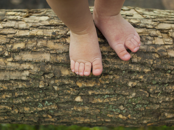 Baby feet are standing on a tree branch. - Foto, imagen