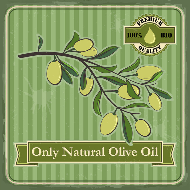 Vintage oliv plakát design. - Vektor, obrázek