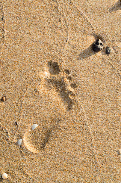 Footprints - Photo, Image