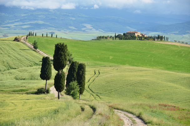 Typical Tuscan landscape. - Photo, Image